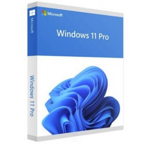 Phần mềm Microsoft Win Pro 11 64Bit Eng Intl 1pk DSP OEI DVD (FQC-10528)